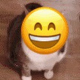 回锅肉不好吃