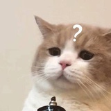 让我看看要看啥
