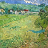 pAonyGnes