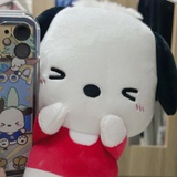 阿侬尼罗纥