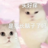 前方道路请减速