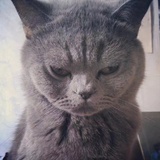 不负责任的吐槽