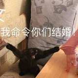 瑞思白