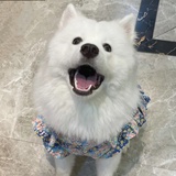 我不是小欣