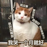 连夜买站票逃走