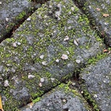 Anahata
