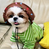 大吉大利