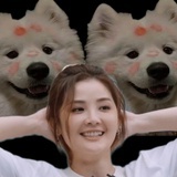 小虫