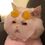 水逆退散