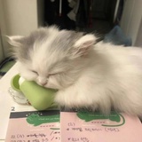 是夜