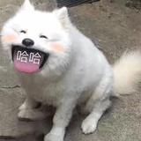 茉莉苏打甜甜圈