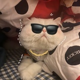 别管我