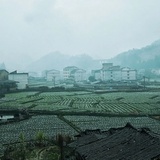 睡煞江南烟雨
