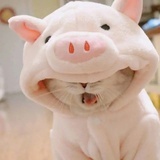 艾丽西亚