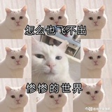 阔泥玑蛙