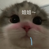 语言联盟