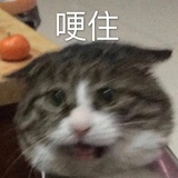 浅时光