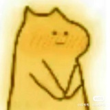 一只锦鲤鲤