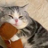 西西西西里