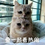 丹麦王子马柏全