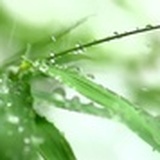 rainclear
