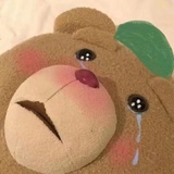 迢迢星万里