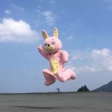 阿清的清_
