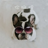 初见