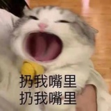 叽叽爆