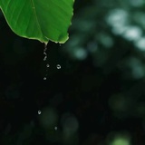 云淡风轻