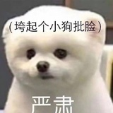 随便搞搞