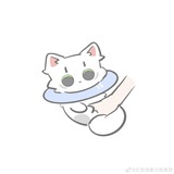 土豆是马铃薯🥔