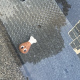 兰