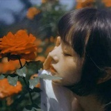 妙蛙种子不妙了