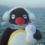 小鱼