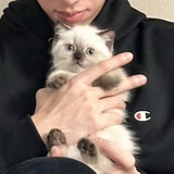 Takuya