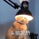 豆友209408517