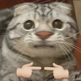无理丸子