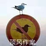 核鳝的微笑