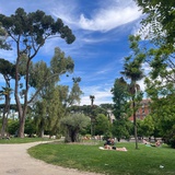 没爱的寂寞女人