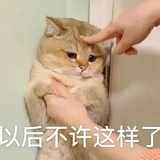 江湖骗子c