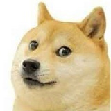我就是一条狗啦