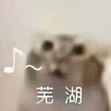 不申请了 烦