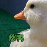 二十三年弃置身