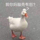 生吃你妈