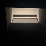 我说我是海鸥