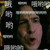 东弗勒斯外普