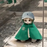 酸奶疙瘩