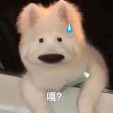 心令如山