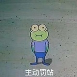 蹦蹦跳跳小跳蛛